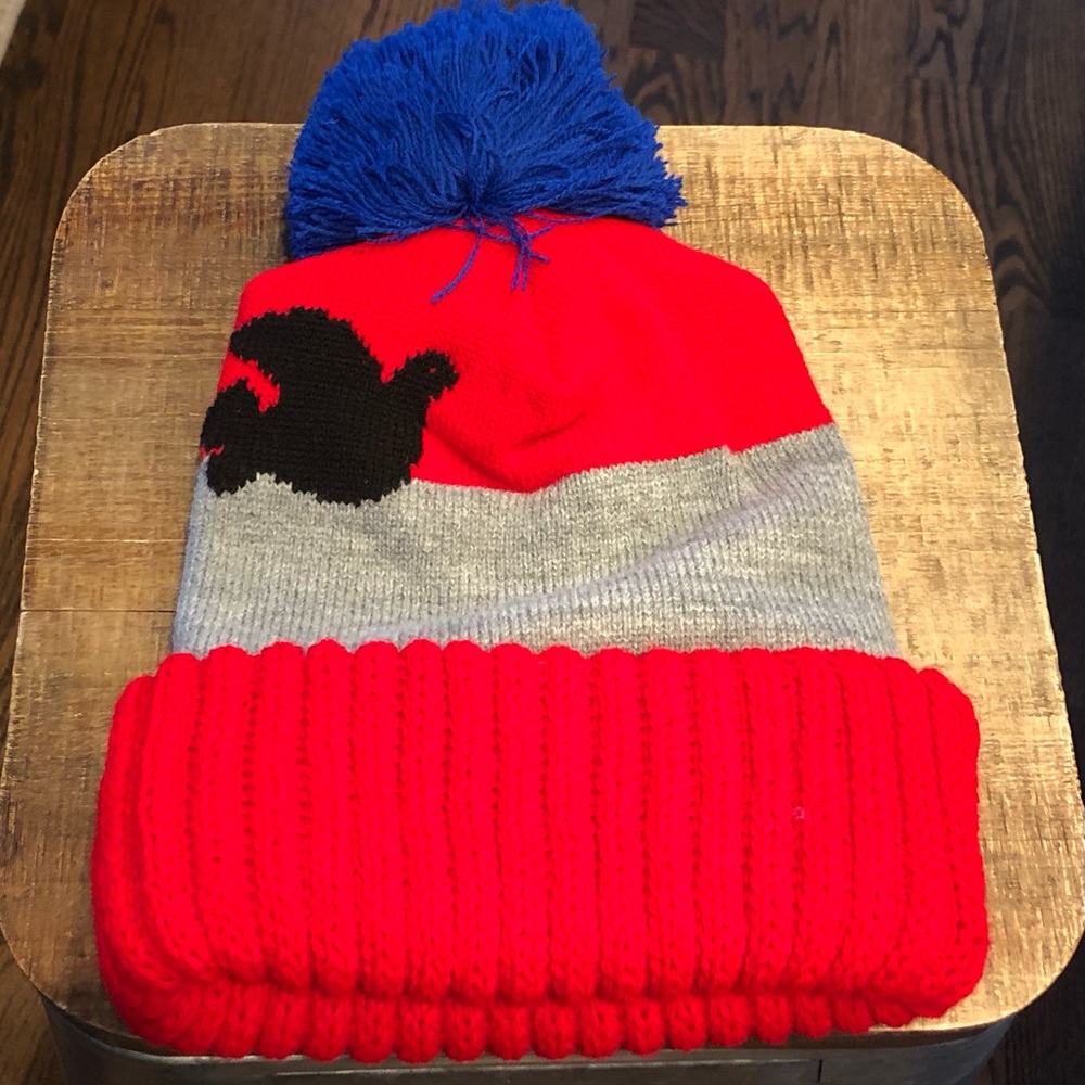 NWOT Free City beanie
